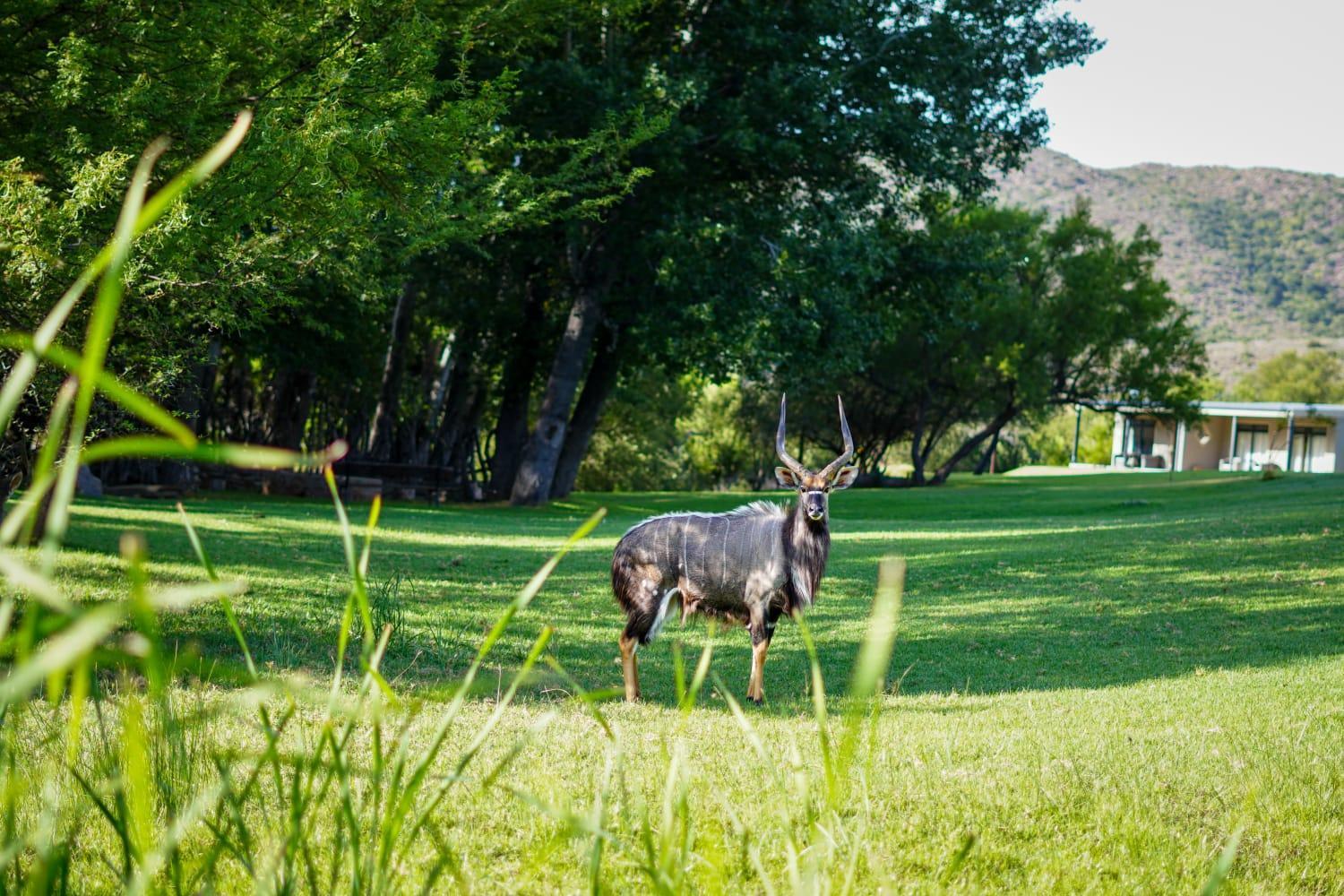 Wildehondekloof Game Lodge Matjiesrivier  Exterior foto
